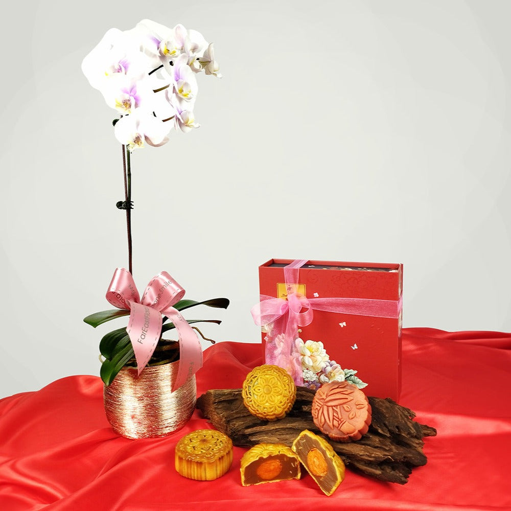 Harmonious Moonlight - Phalaenopsis and Baker's Cottage Mooncake Set
