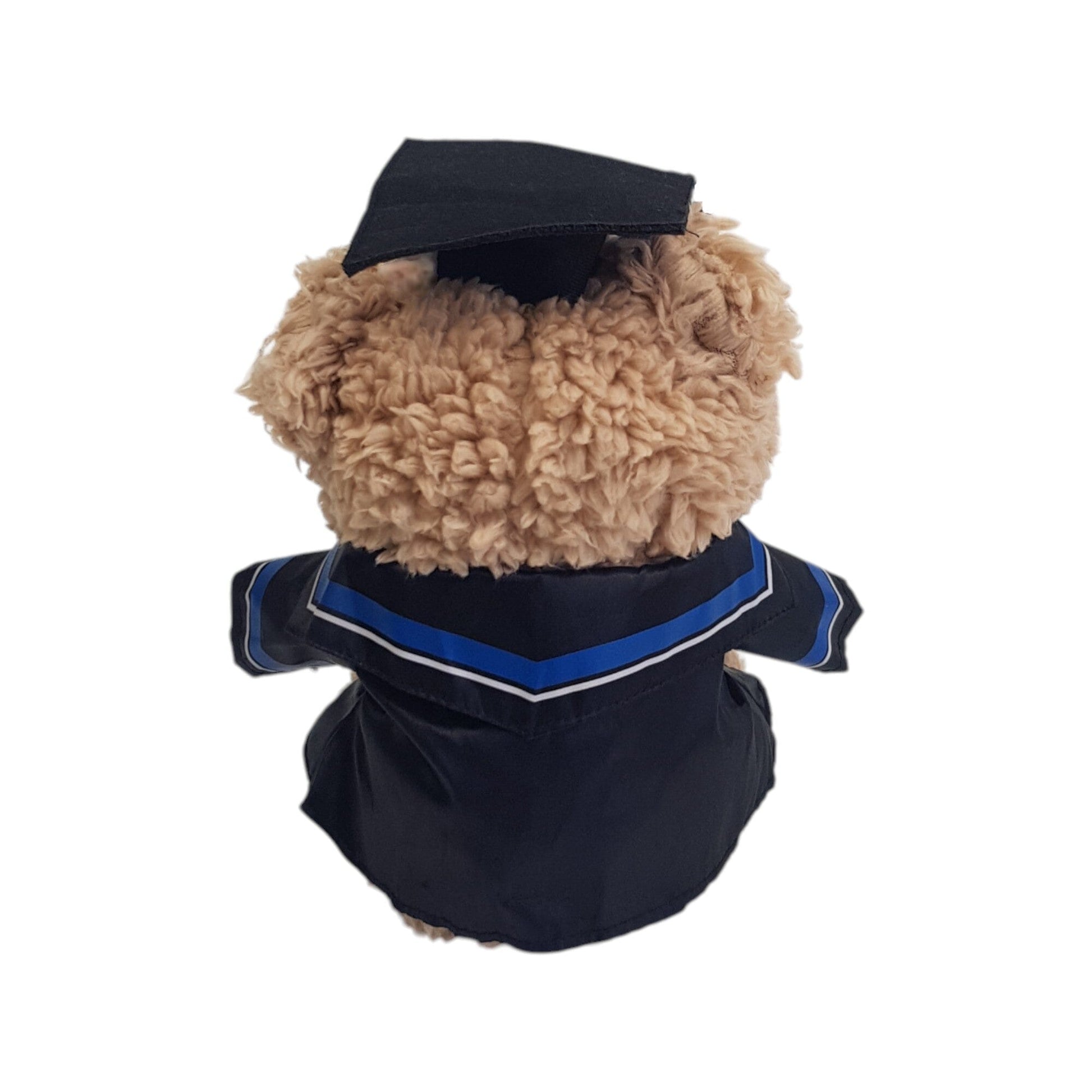 Graduation Teddy Bear with Gown (23cm)