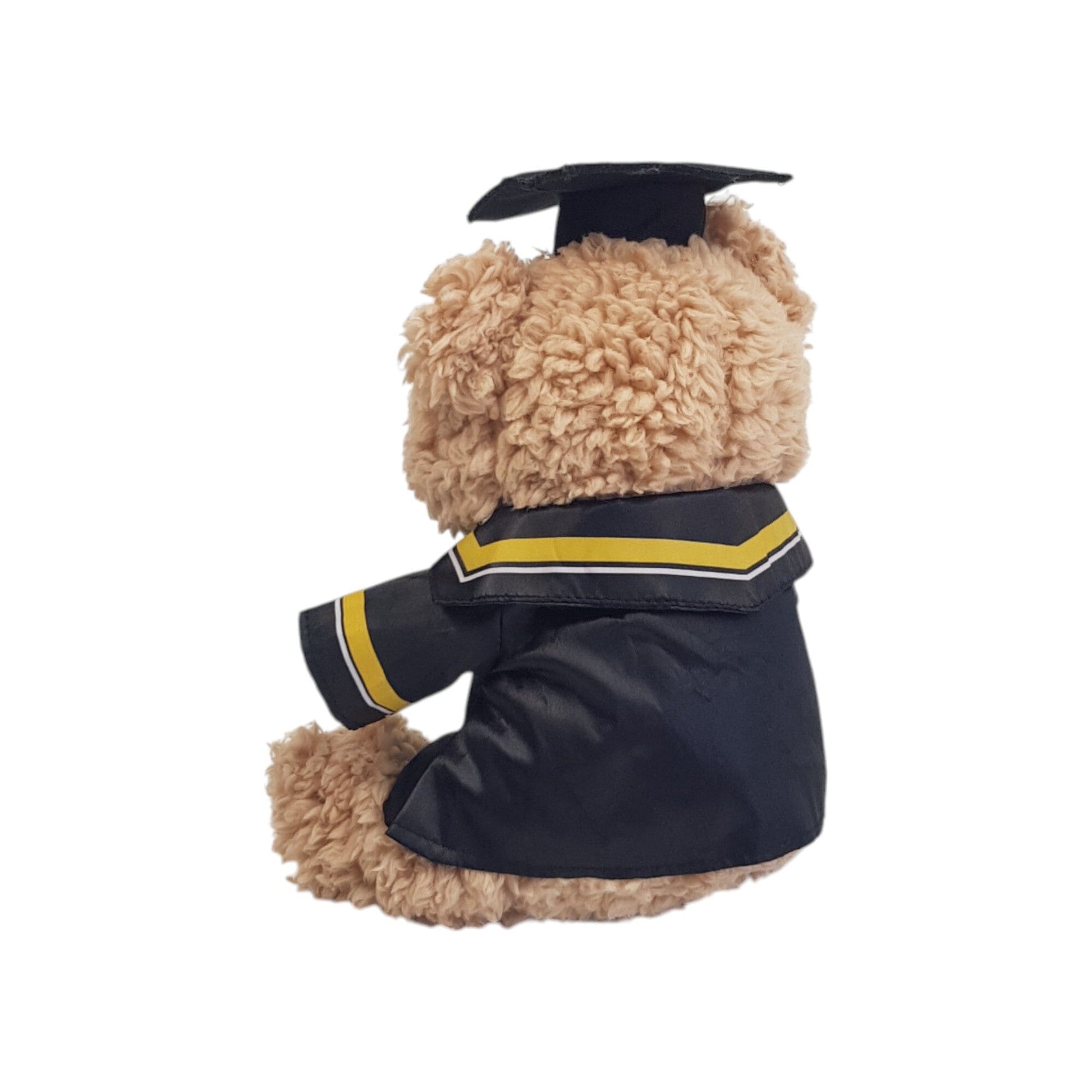 Graduation Teddy Bear with Gown (23cm)