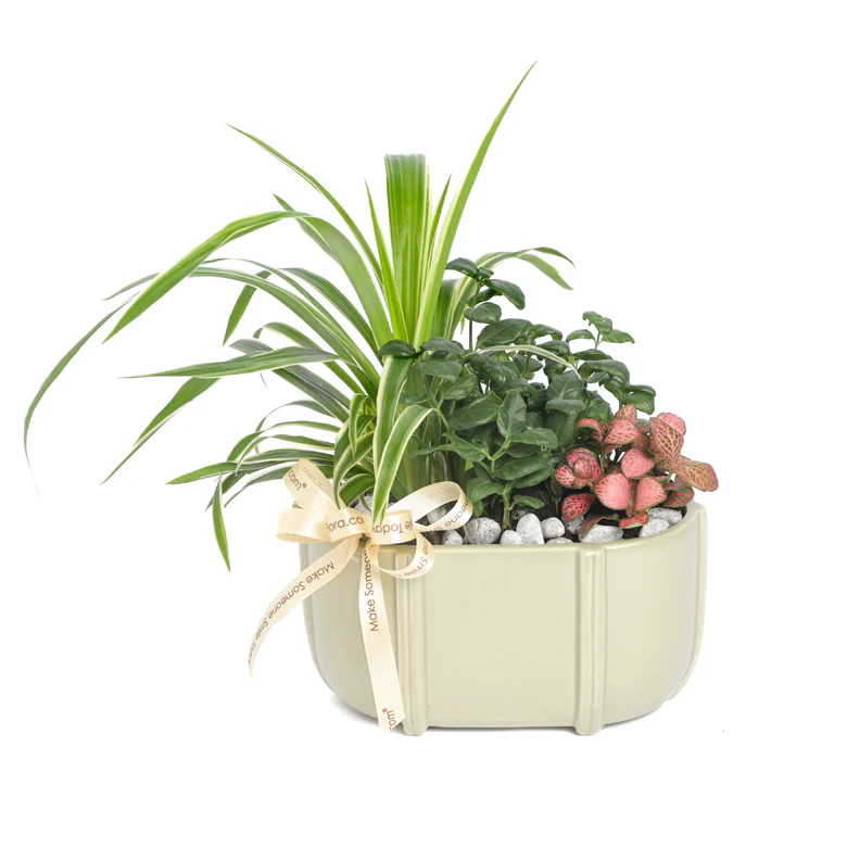 Table Garden at Far East Flora