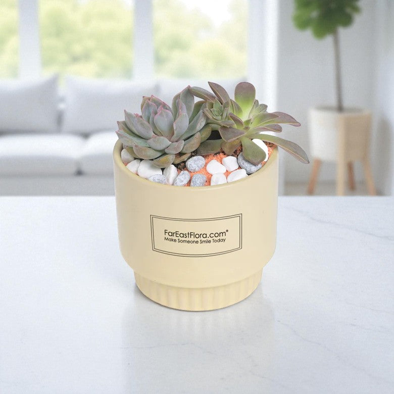 Sunshine Serenity – Table Garden