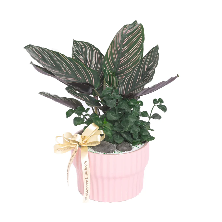 Table Garden at Far East Flora