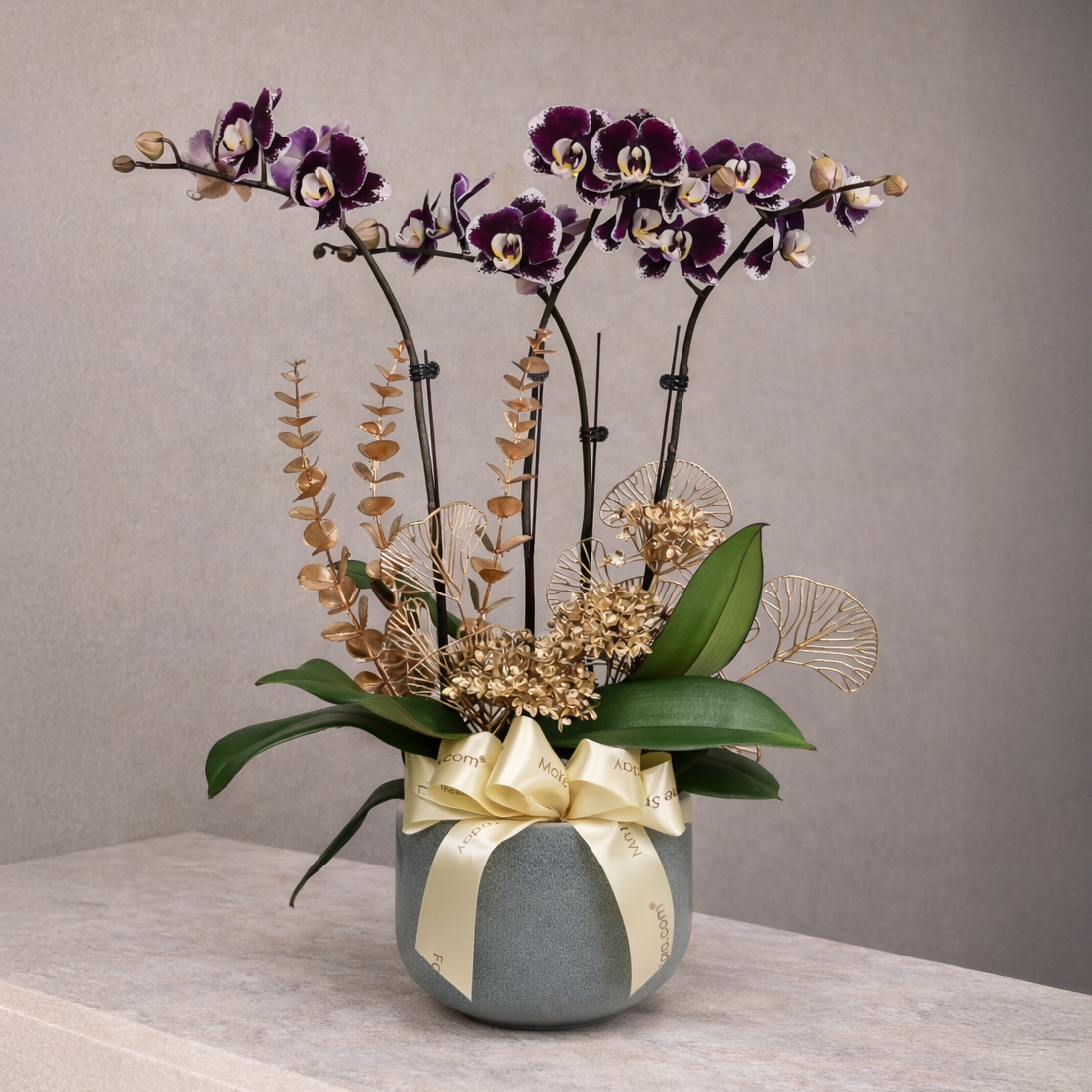 Anggun Puspa - Purple Phalaenopsis