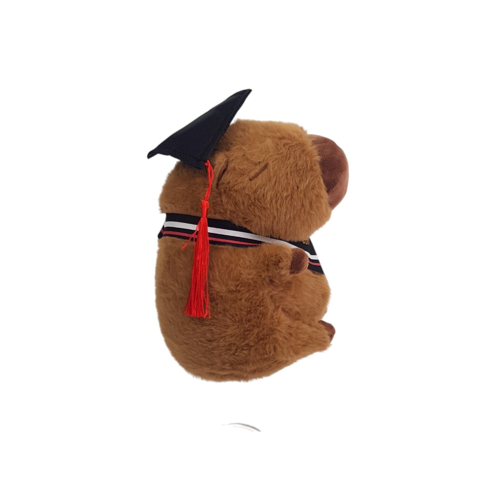 Capybara Graduation Plushies (23cm)