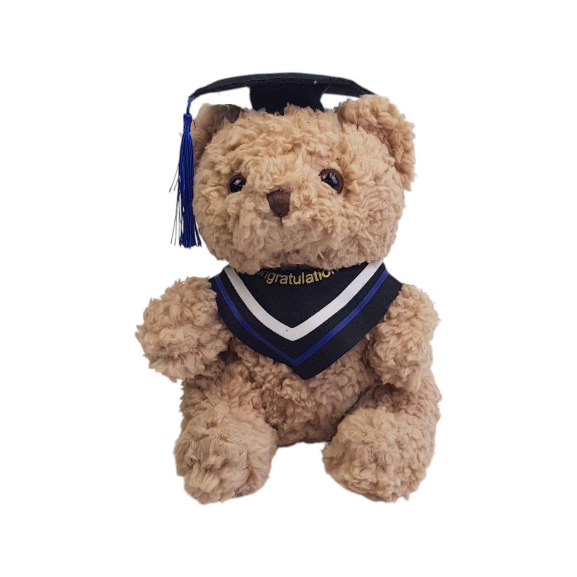 Graduation Teddy Bear with Cap (23cm)