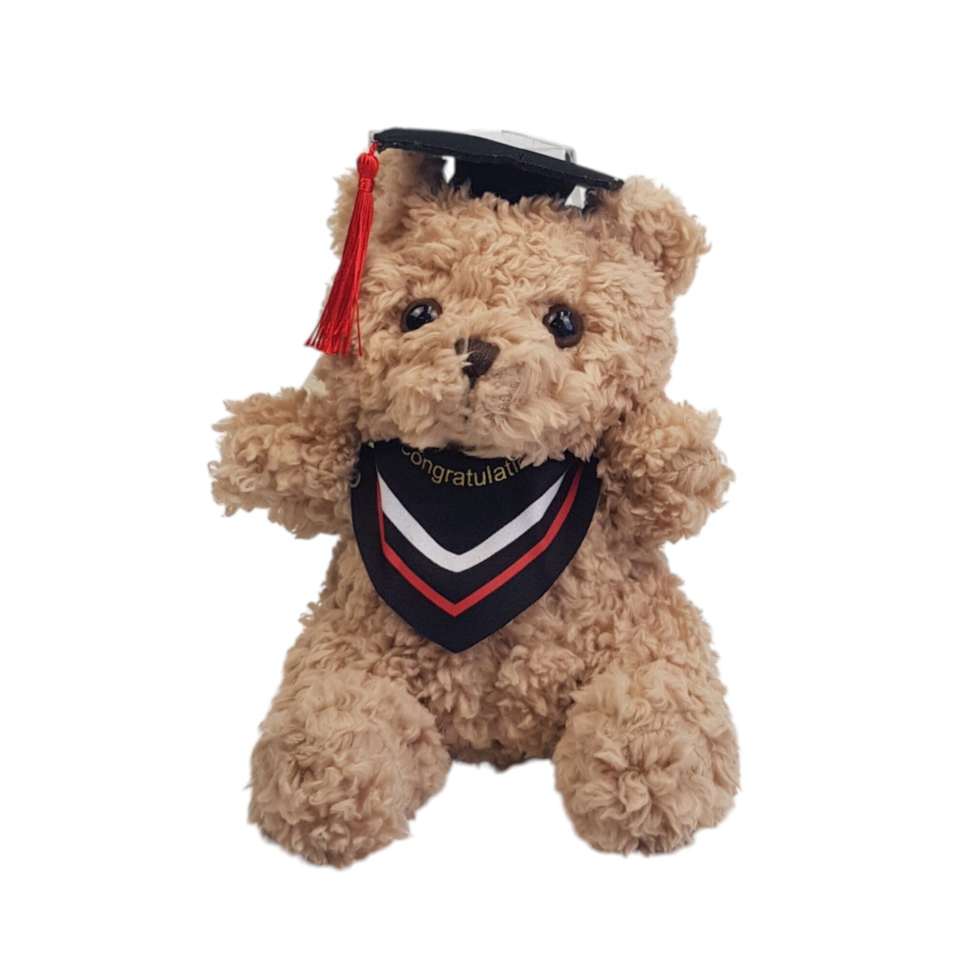 Graduation Teddy Bear with Cap (23cm)