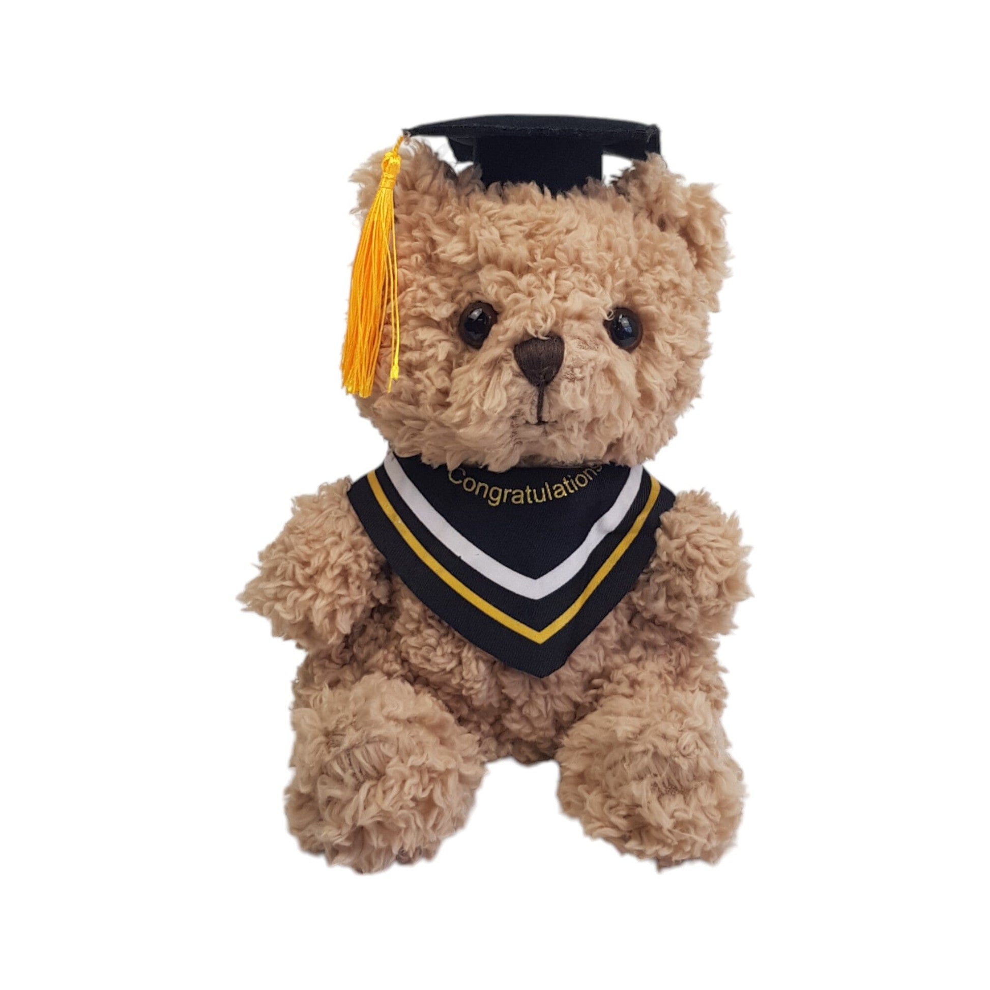 Graduation Teddy Bear with Cap (23cm)