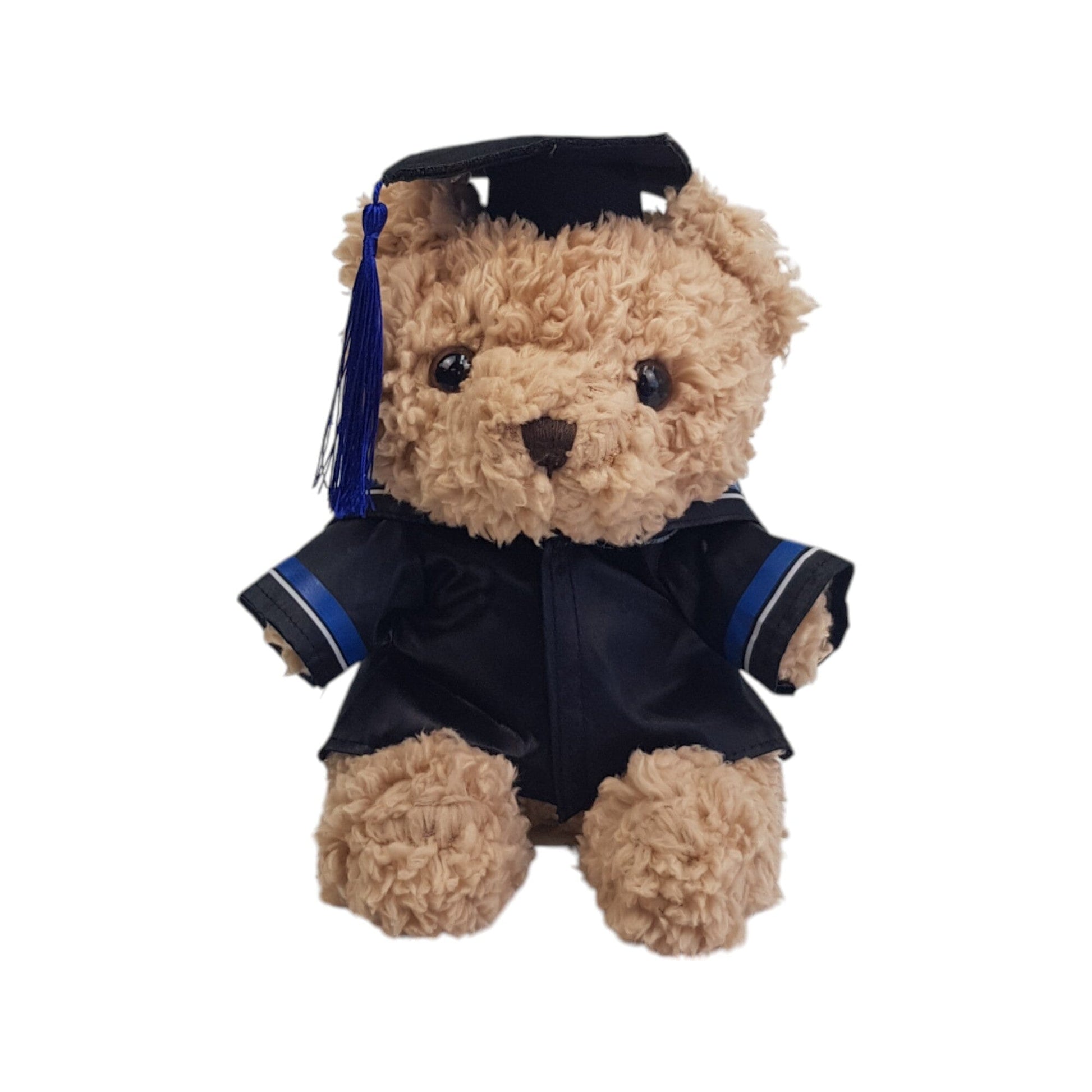 Graduation Teddy Bear with Gown (23cm)