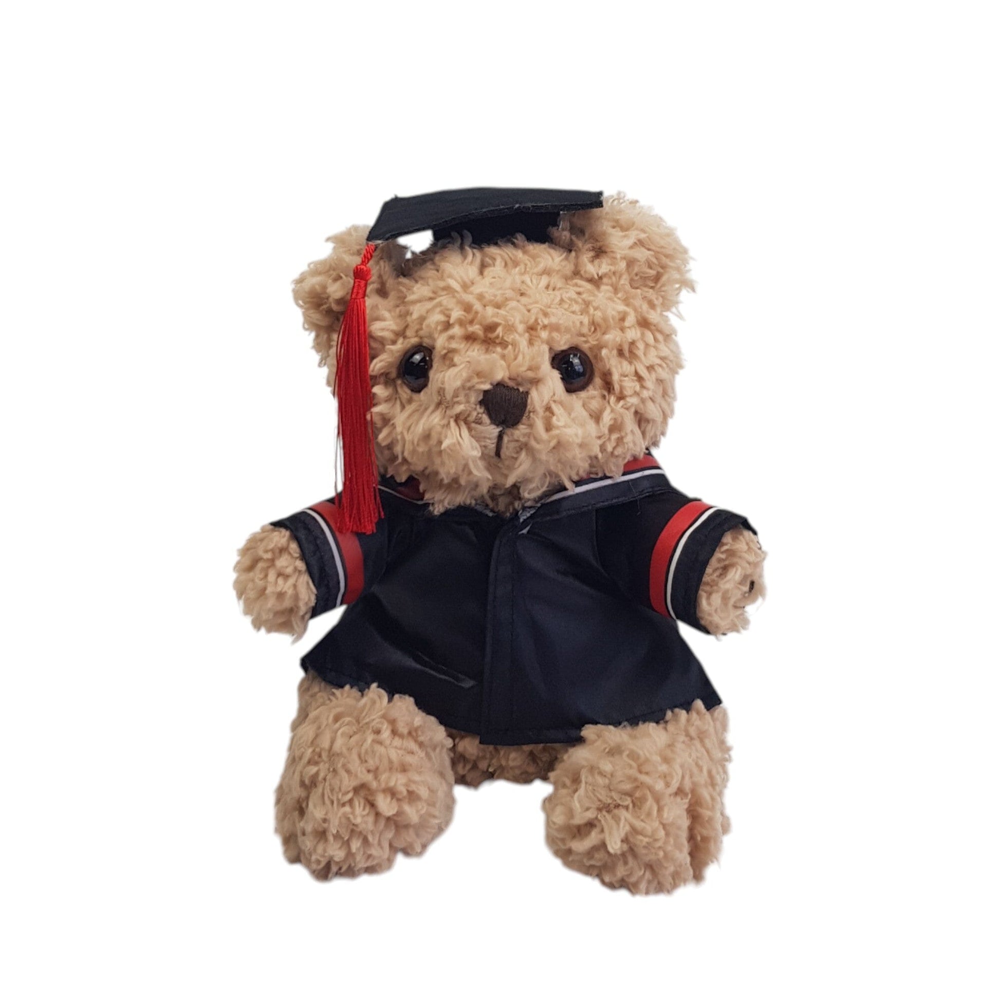 Graduation Teddy Bear with Gown (23cm)