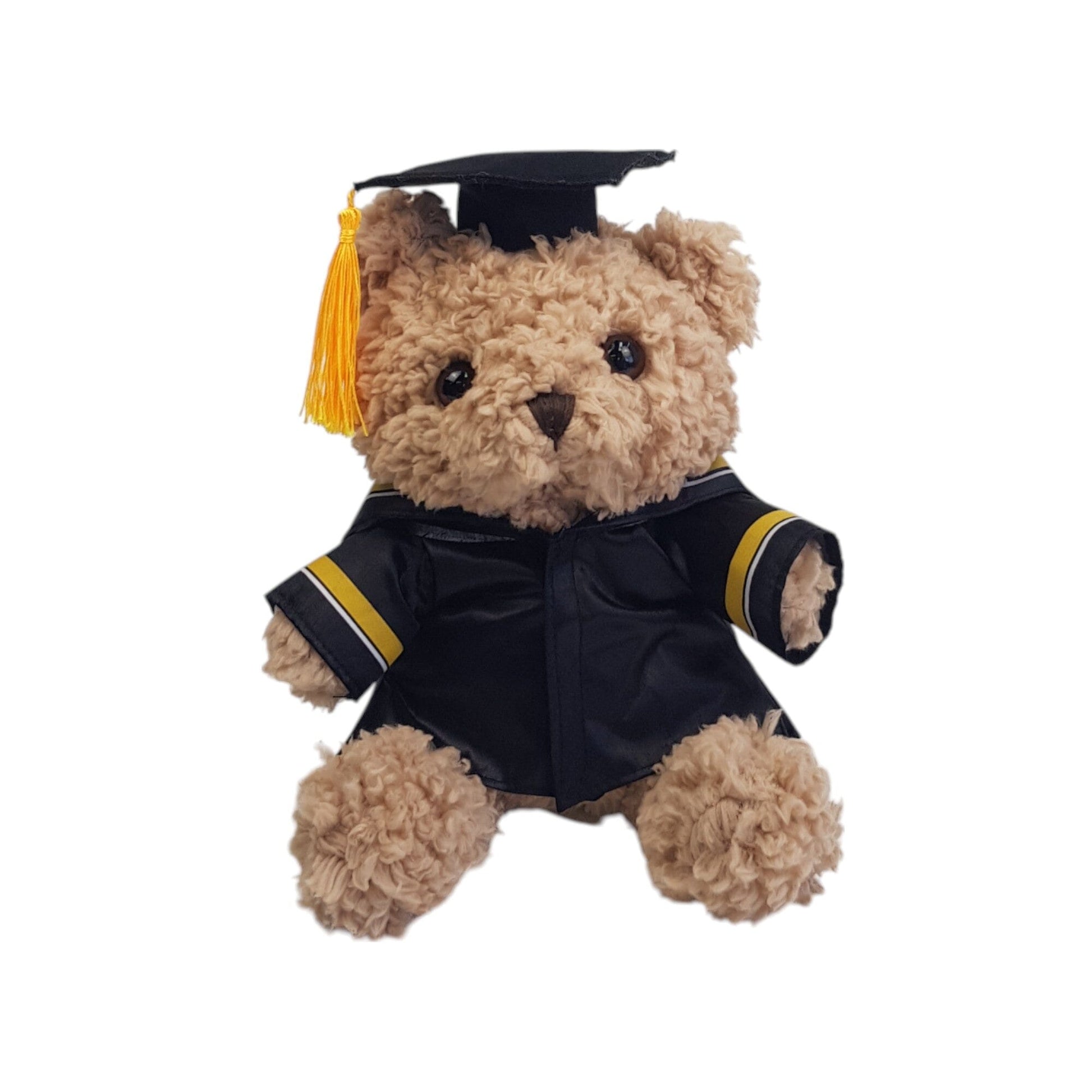 Graduation Teddy Bear with Gown (23cm)