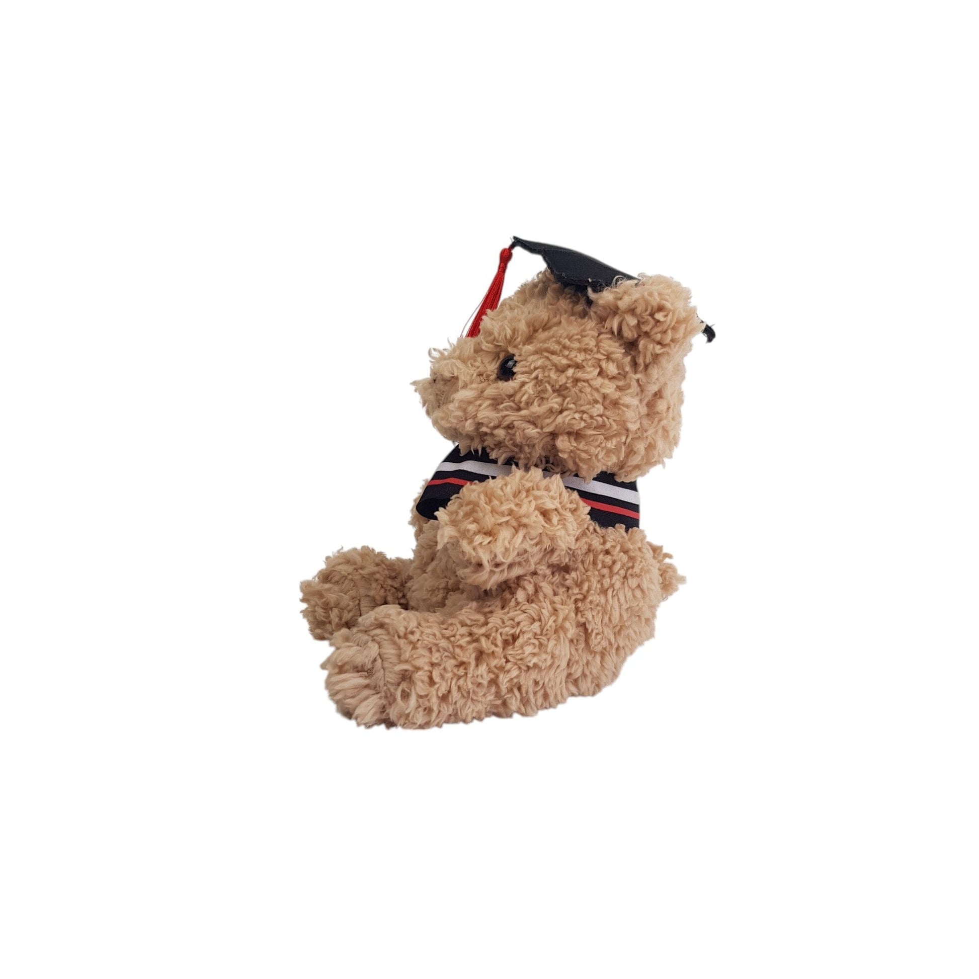 Graduation Teddy Bear with Cap (23cm)