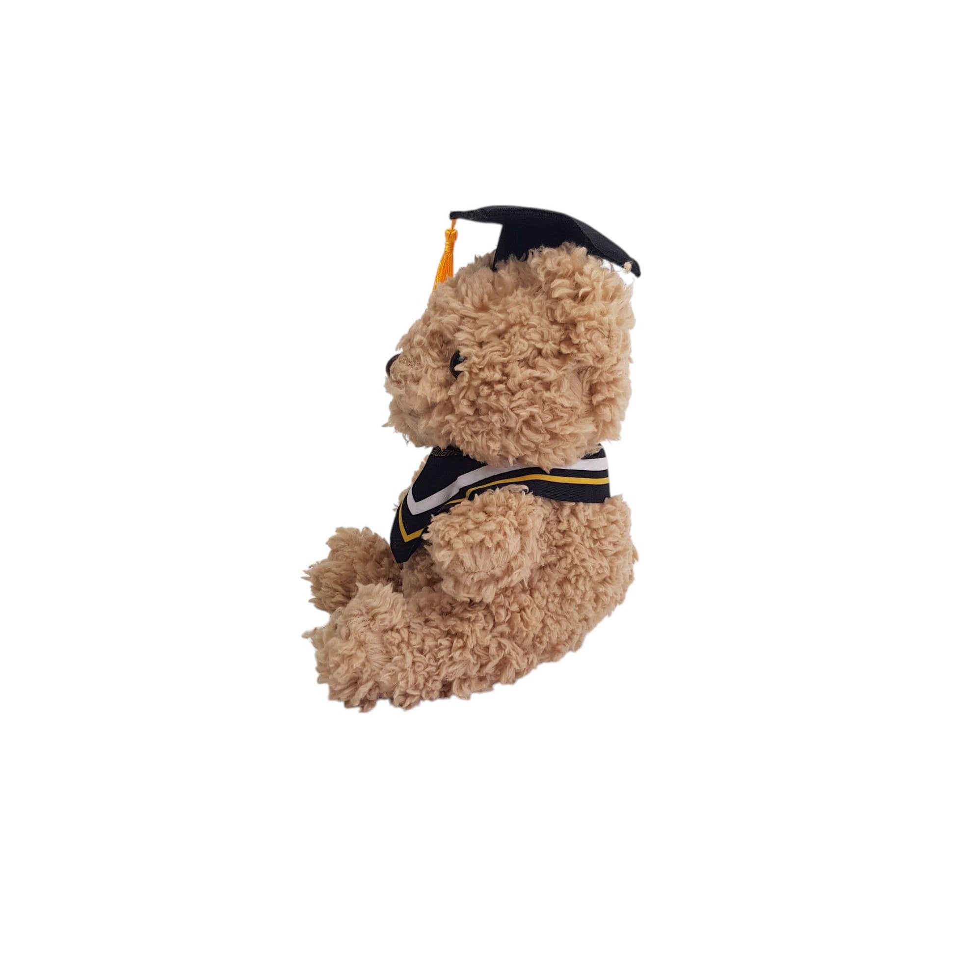 Graduation Teddy Bear with Cap (23cm)