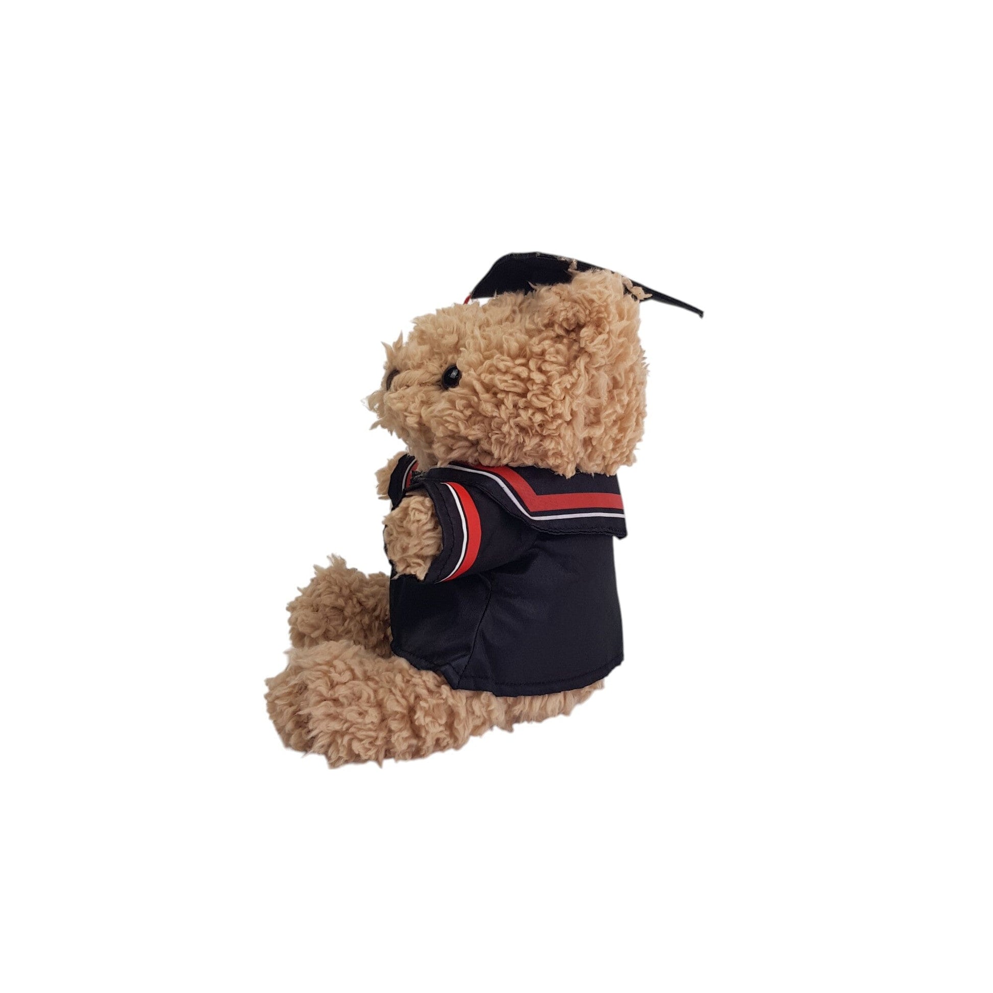 Graduation Teddy Bear with Gown (23cm)
