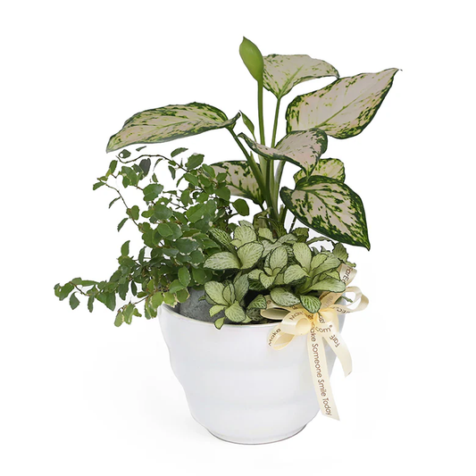 Table Garden at Far East Flora