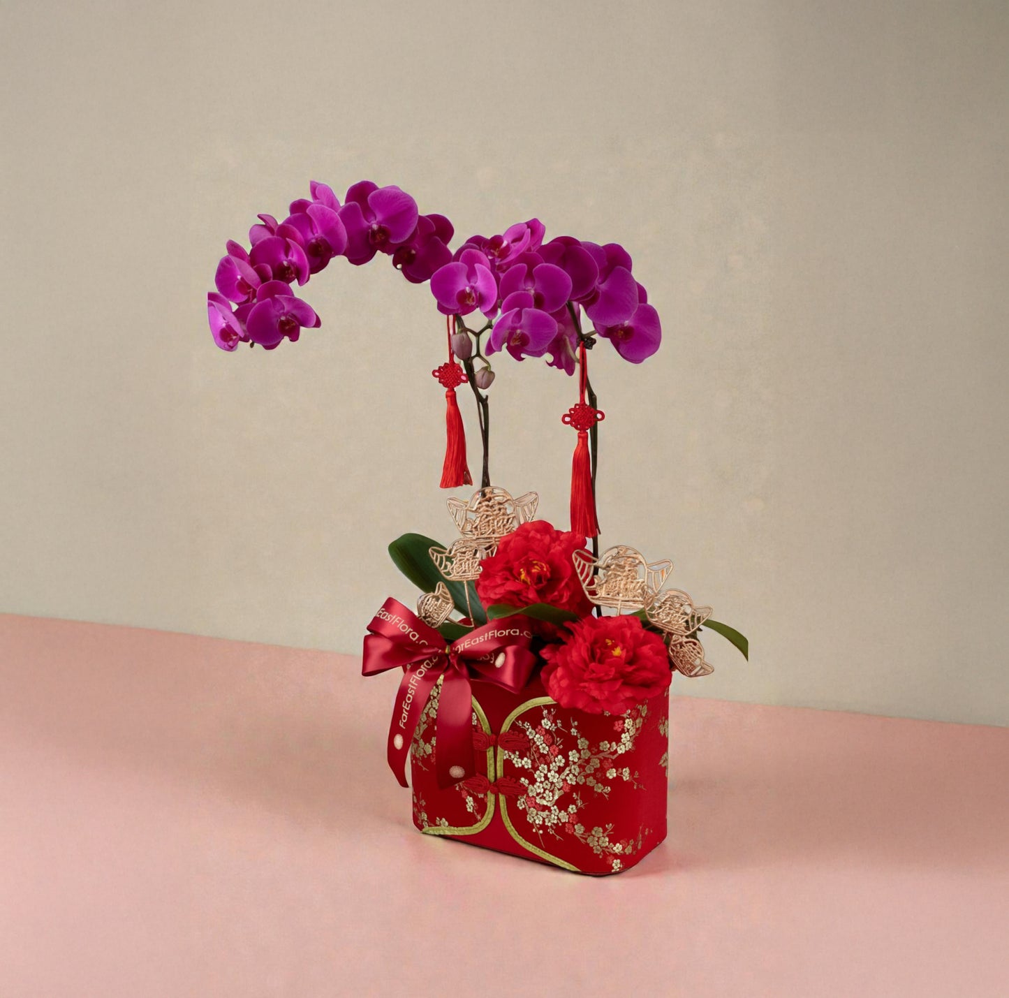 Majestic Harmony – Phalaenopsis