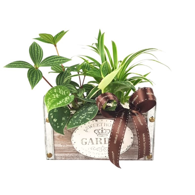Plant Arrangements With Wooden Basket Metal (S) | Far East Flora Malaysia