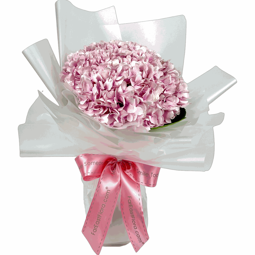 Pretty in Pink Hydrangea Flower Bouquet wrapped in white translucent paper with a pink ribbon bow