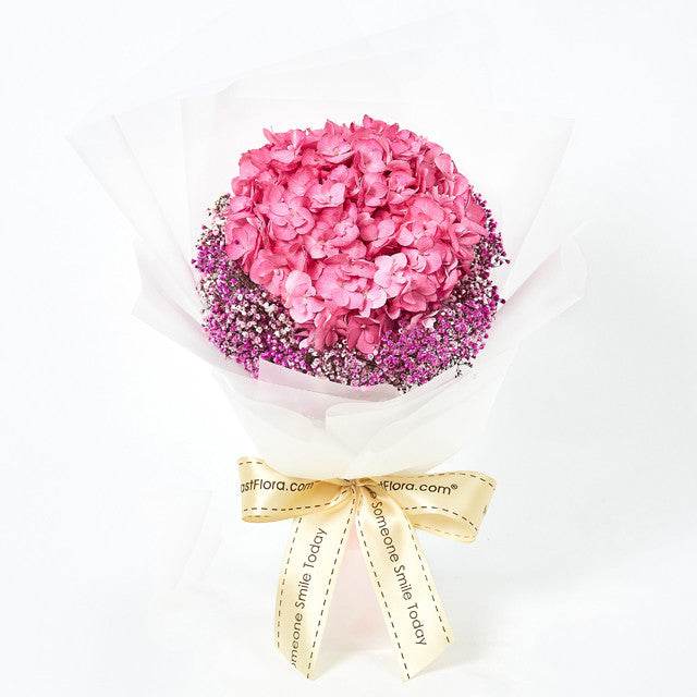 Fluffy Cotton Candy pink hydrangea bouquet with delicate purple baby’s breath and a wrapped ribbon finish