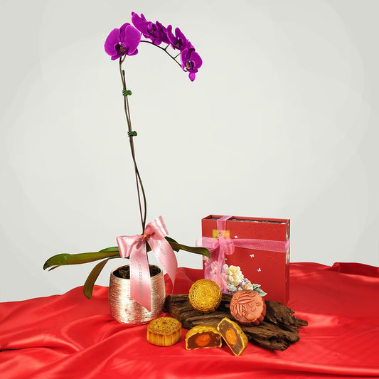 Moonlit Orchid Elegance - Phalaenopsis and Baker's Cottage Mooncake Set