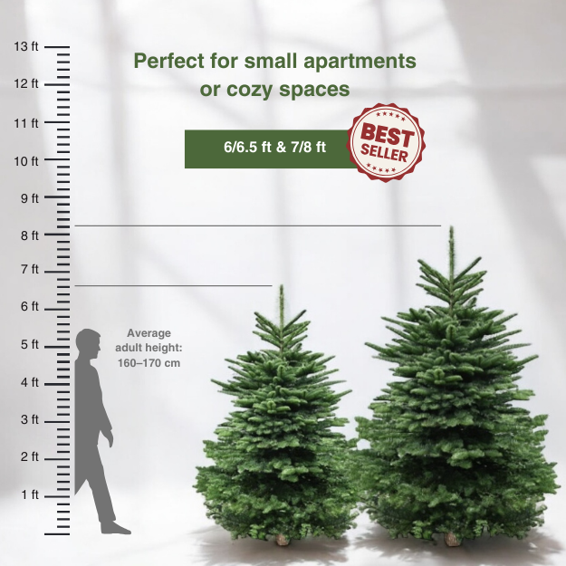 Real Christmas Tree (6/6.5 ft.) - Premium Grade Noble Fir