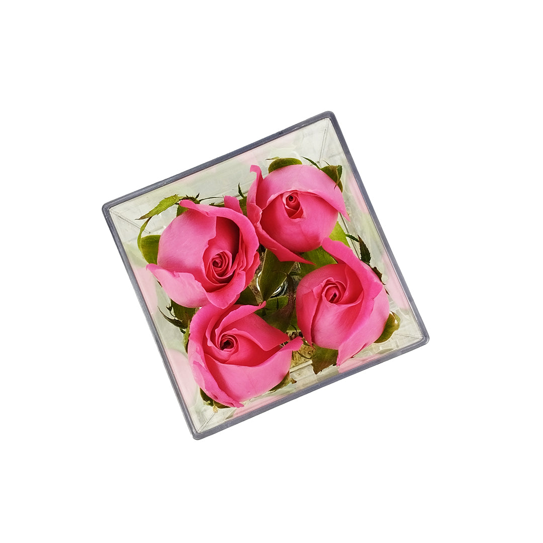 Minimalist 4 Rose Acrylic Box