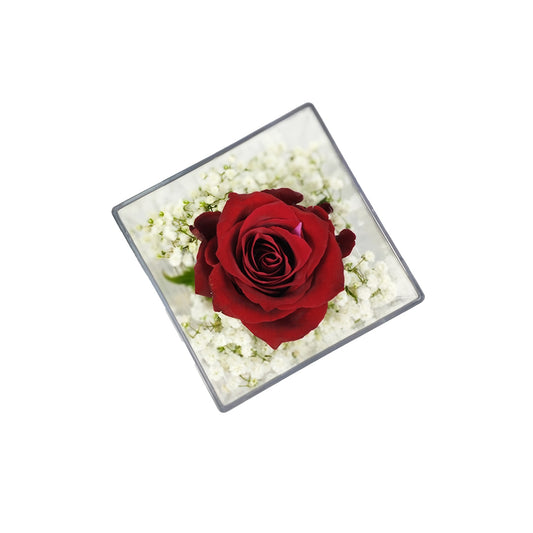 Minimalist Red Rose Acrylic Box