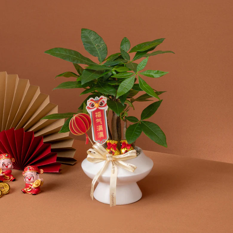 Fortune Bloom – Table Garden