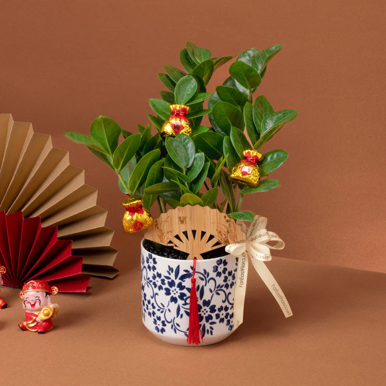 Evergreen Fortune – Table Garden