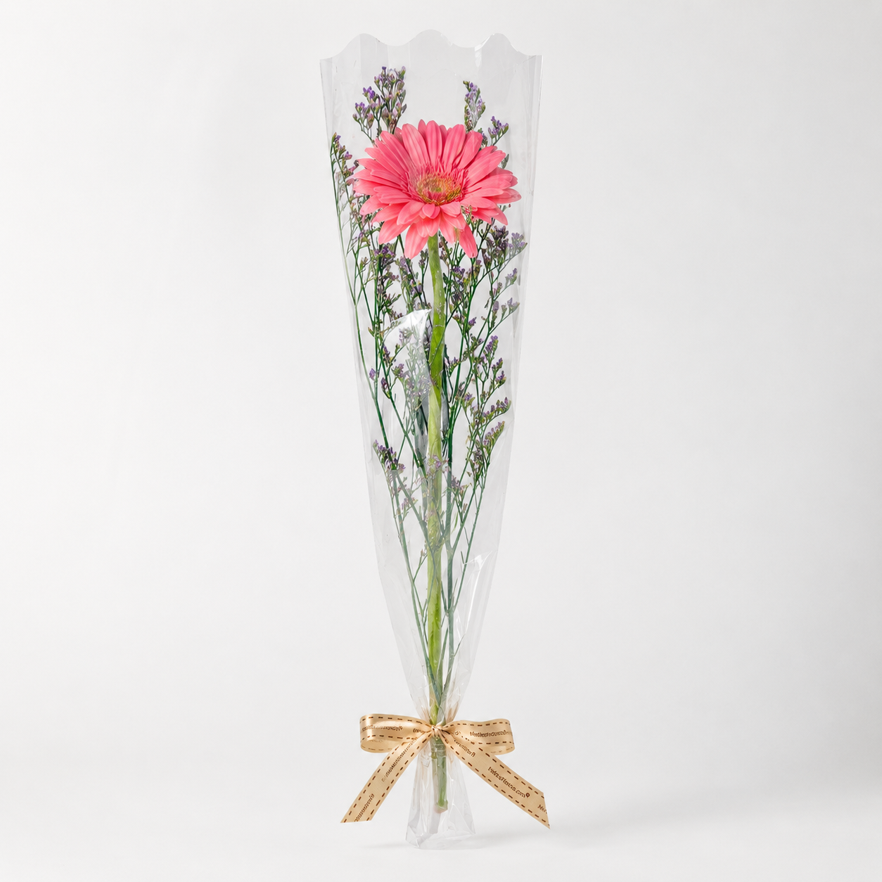 MYSS03 - Gerbera Set (10 Pcs)