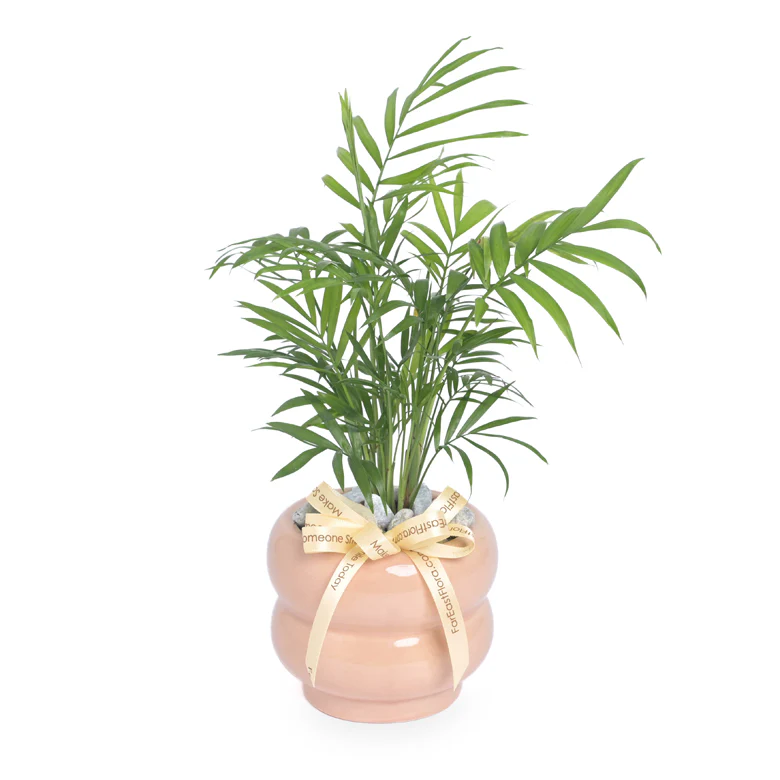 Cozy Breeze – Table Garden