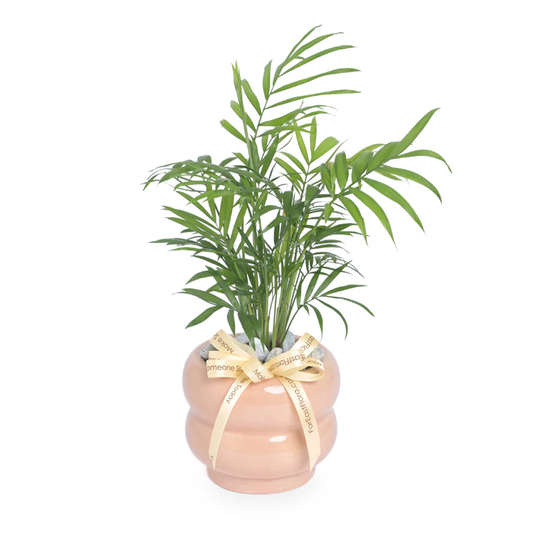 Table Garden at Far East Flora