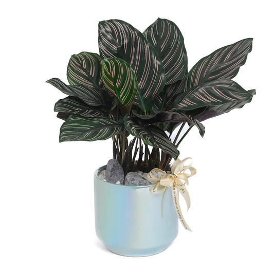 Table Garden at Far East Flora