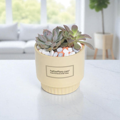 Sunshine Serenity – Table Garden