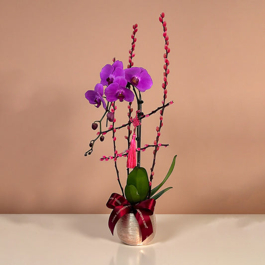 Double Happiness – Phalaenopsis Orhid (1 Stalk)