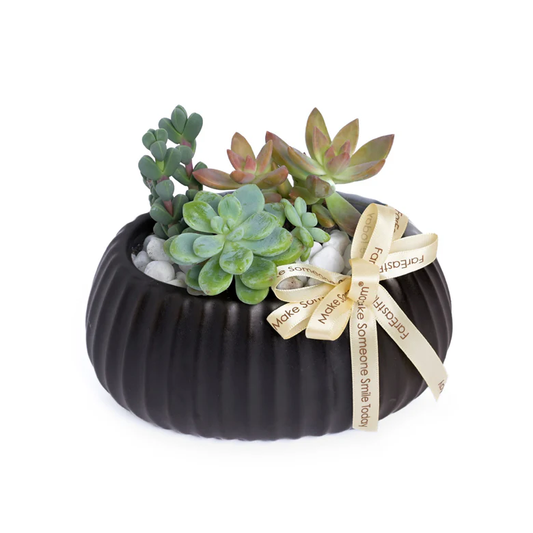 Table Garden at Far East Flora