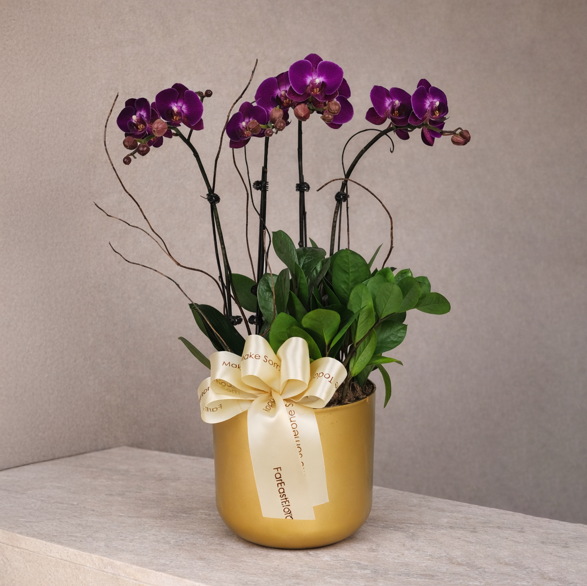 Seri Luhur - Purple Phalaenopsis