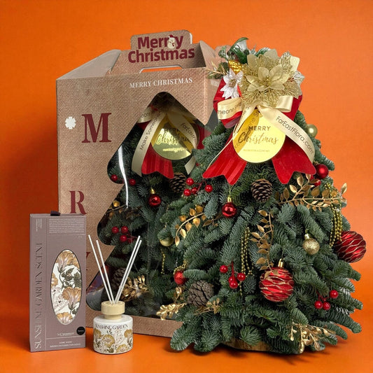 Mini Christmas Tree with Decoration (50cm) Reed Diffuser Gift Set