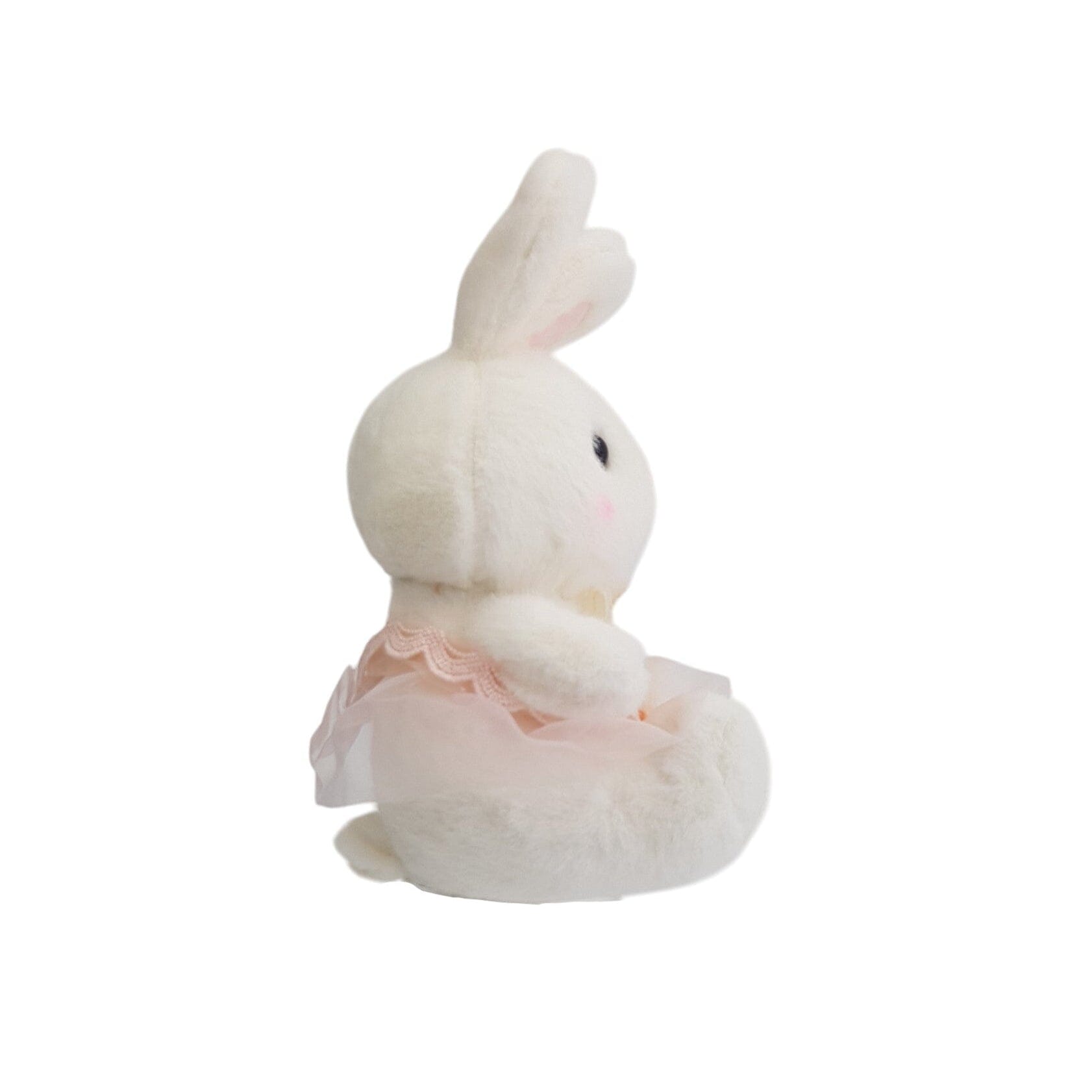 Cute Rabbit Cute Plushies (30cm)