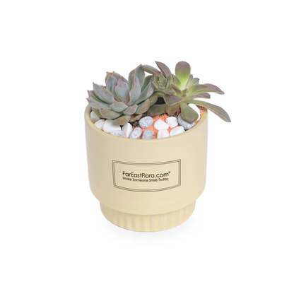 Table Garden at Far East Flora