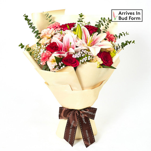 Splash Of Splendor Gift Set