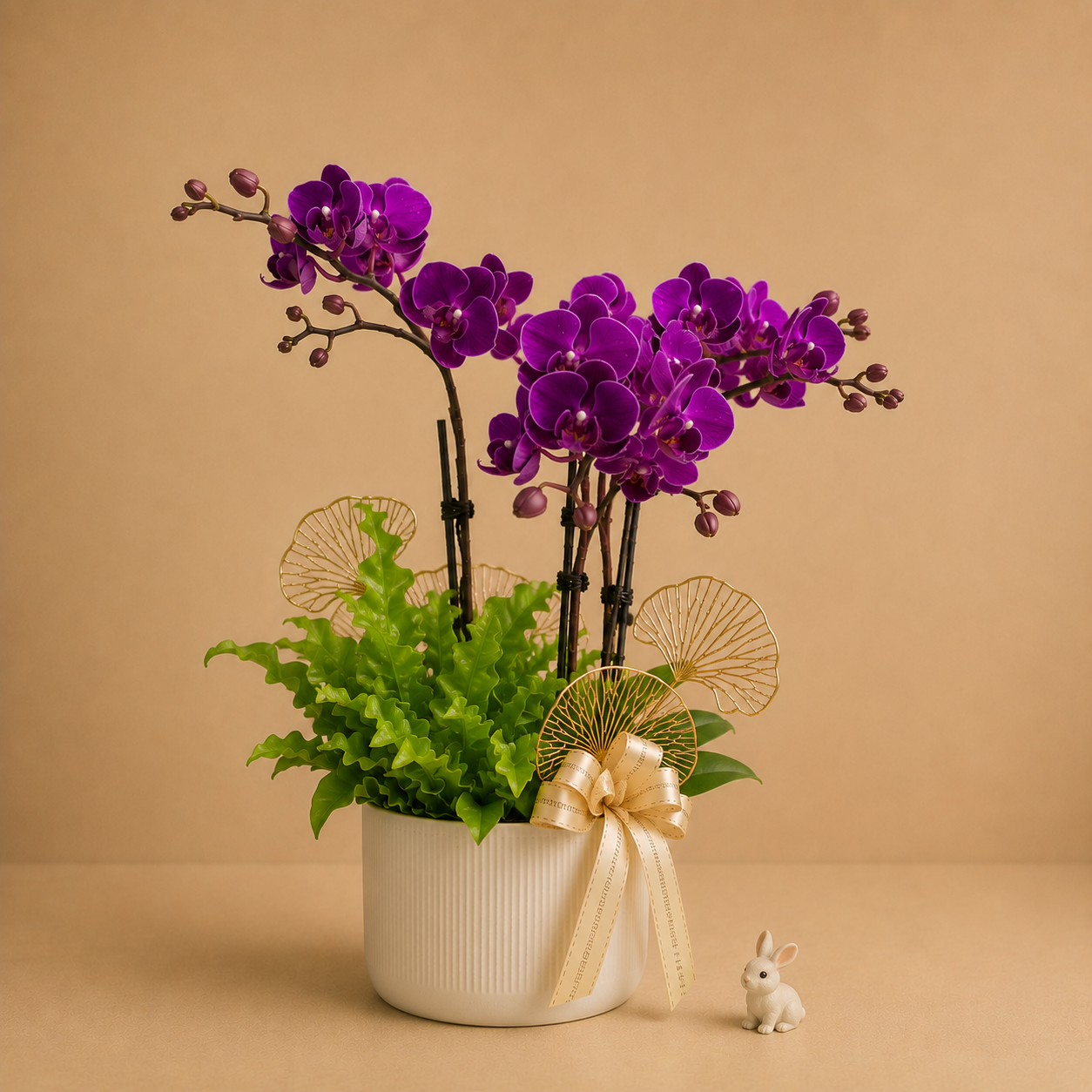 MYPH07 Phalaenopsis Mini