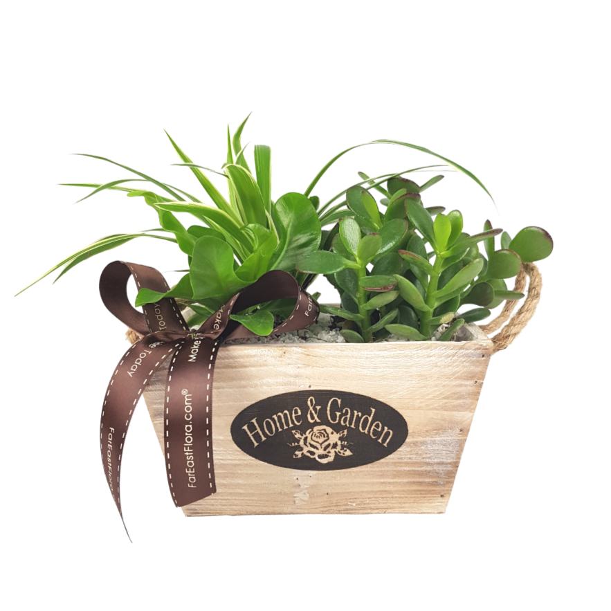 Plant Arrangements With Wooden Basket (S) | Far East Flora Malaysia