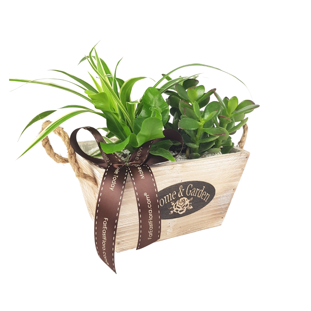 Plant Arrangements With Wooden Basket (S) | Far East Flora Malaysia