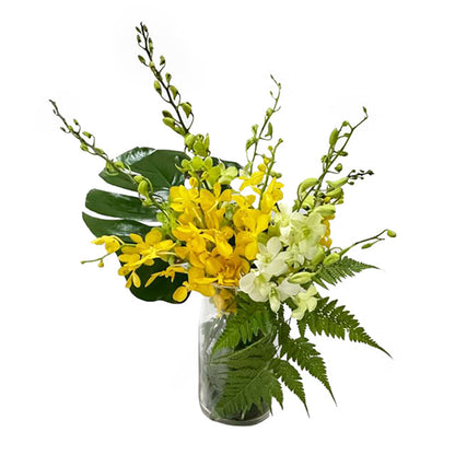 Yellow orchid flower arrangement in glass vase with green foliages