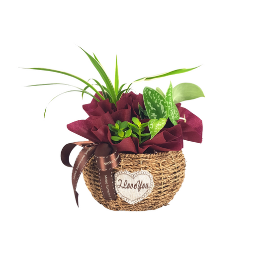 Plant Arrangements in Oval Basket | Far East Flora Malaysia